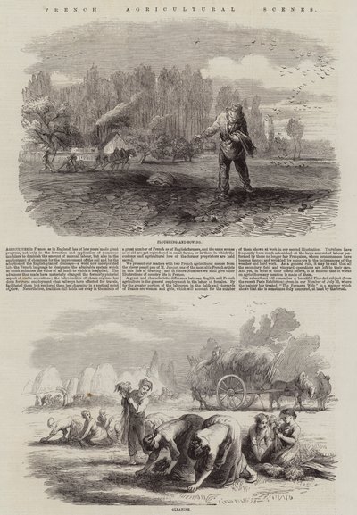 Scènes agricoles françaises - Charles Emile Jacque